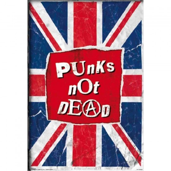 Afiche Punks Not Dead