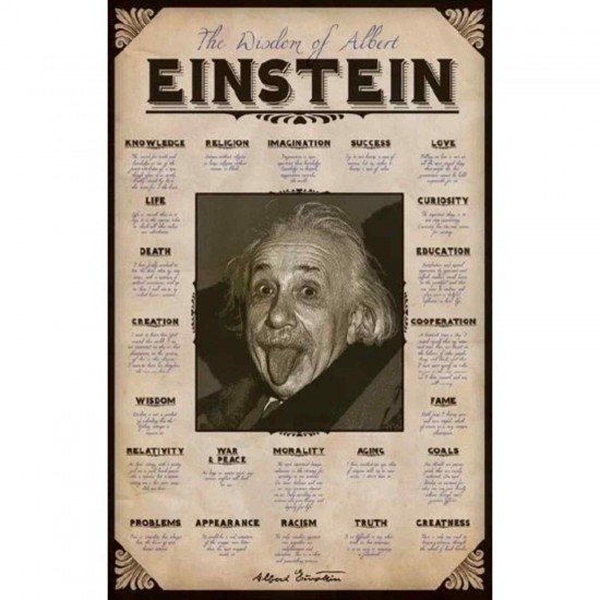Afiche Einstein Sabiduría
