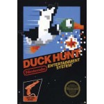 Afiche Duck Hunt