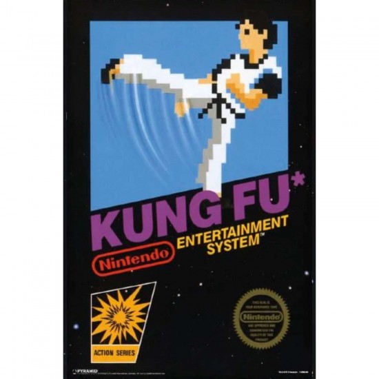 Afiche Kung-Fu