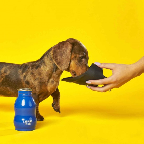 Botella Agua Perros